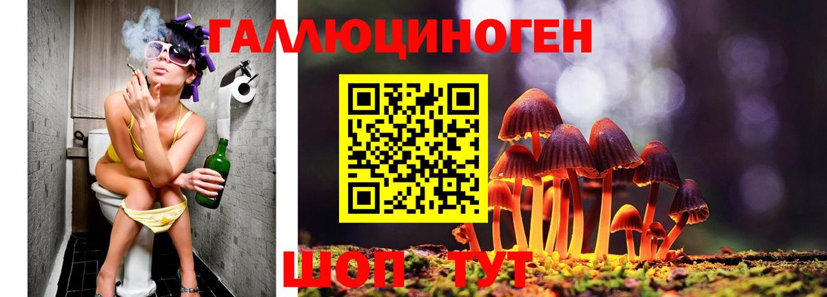 Железногорск  Галлюциногенные грибы Psilocybe  Вход с VPN 